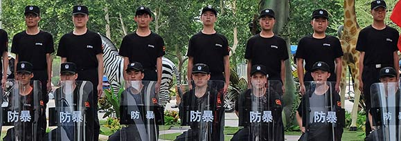 行業動態